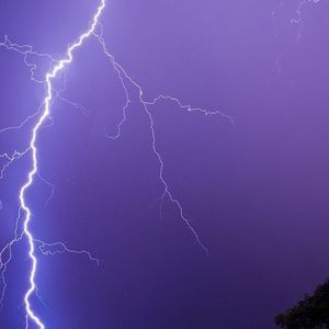 Meet your Posher, Logan